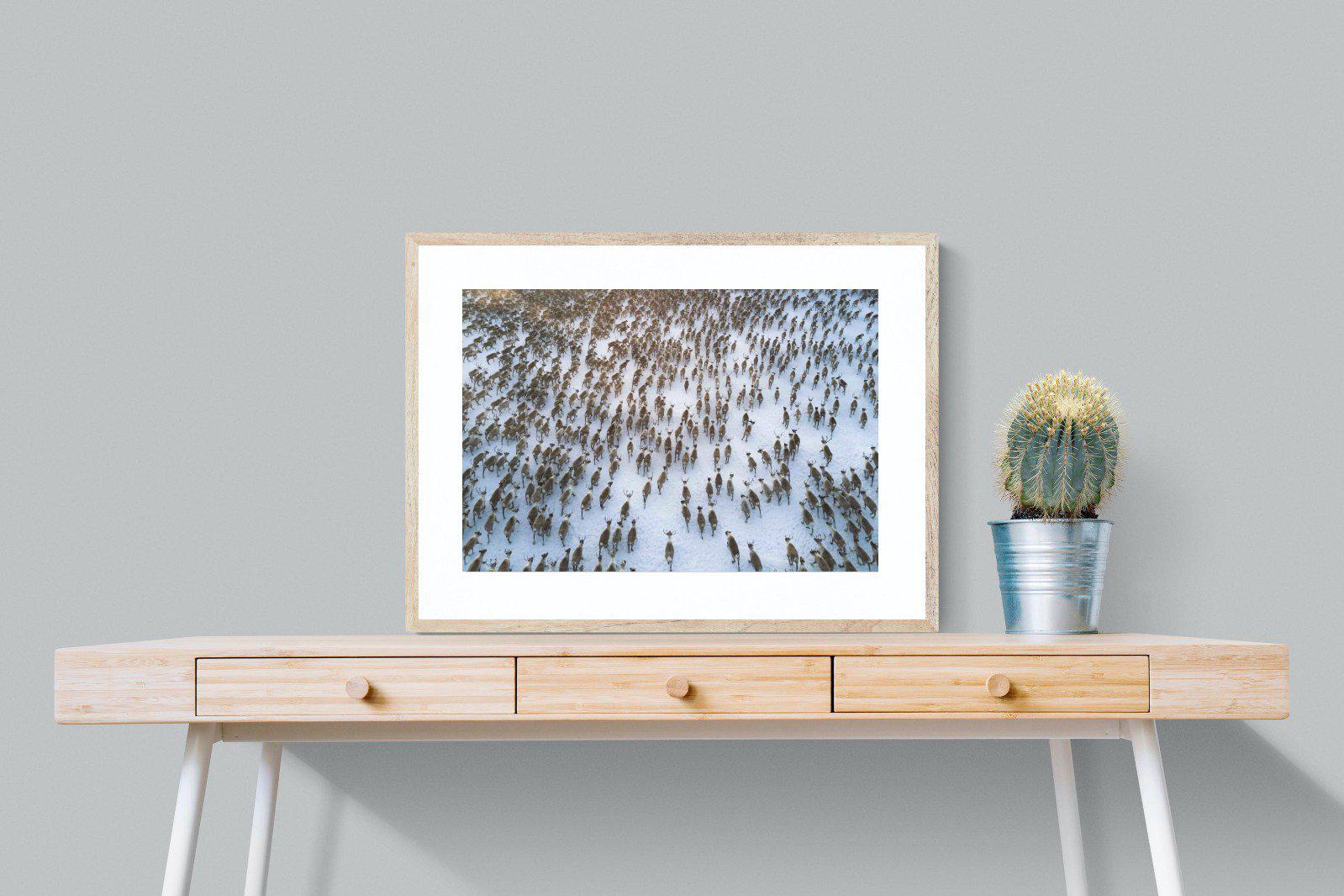 Reindeer Herd-Wall_Art-80 x 60cm-Framed Print-Wood-Pixalot