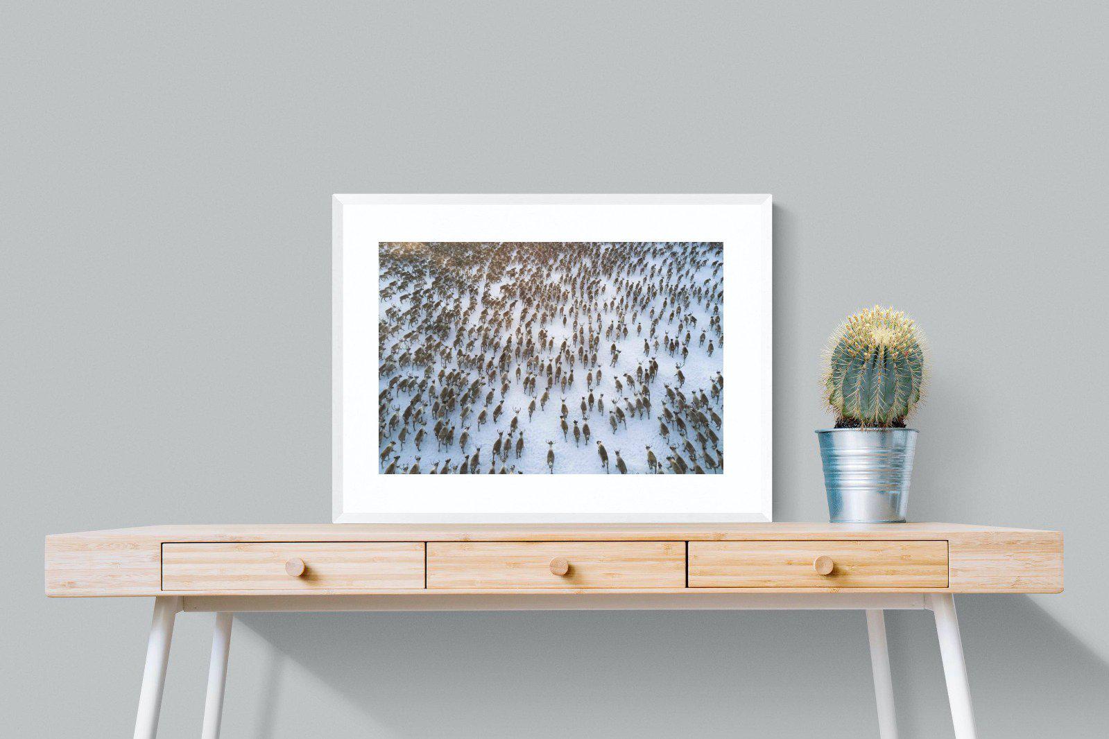 Reindeer Herd-Wall_Art-80 x 60cm-Framed Print-White-Pixalot