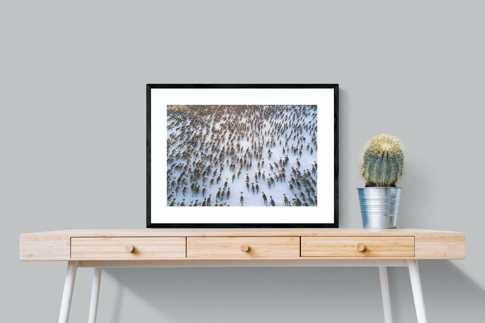 Reindeer Herd-Wall_Art-80 x 60cm-Framed Print-Black-Pixalot