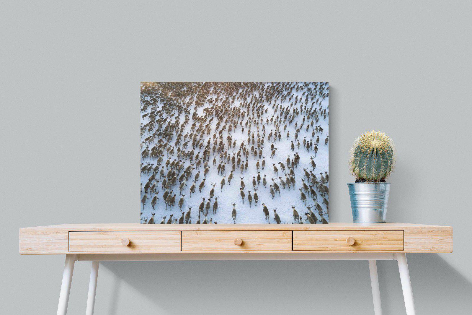 Reindeer Herd-Wall_Art-80 x 60cm-Mounted Canvas-No Frame-Pixalot