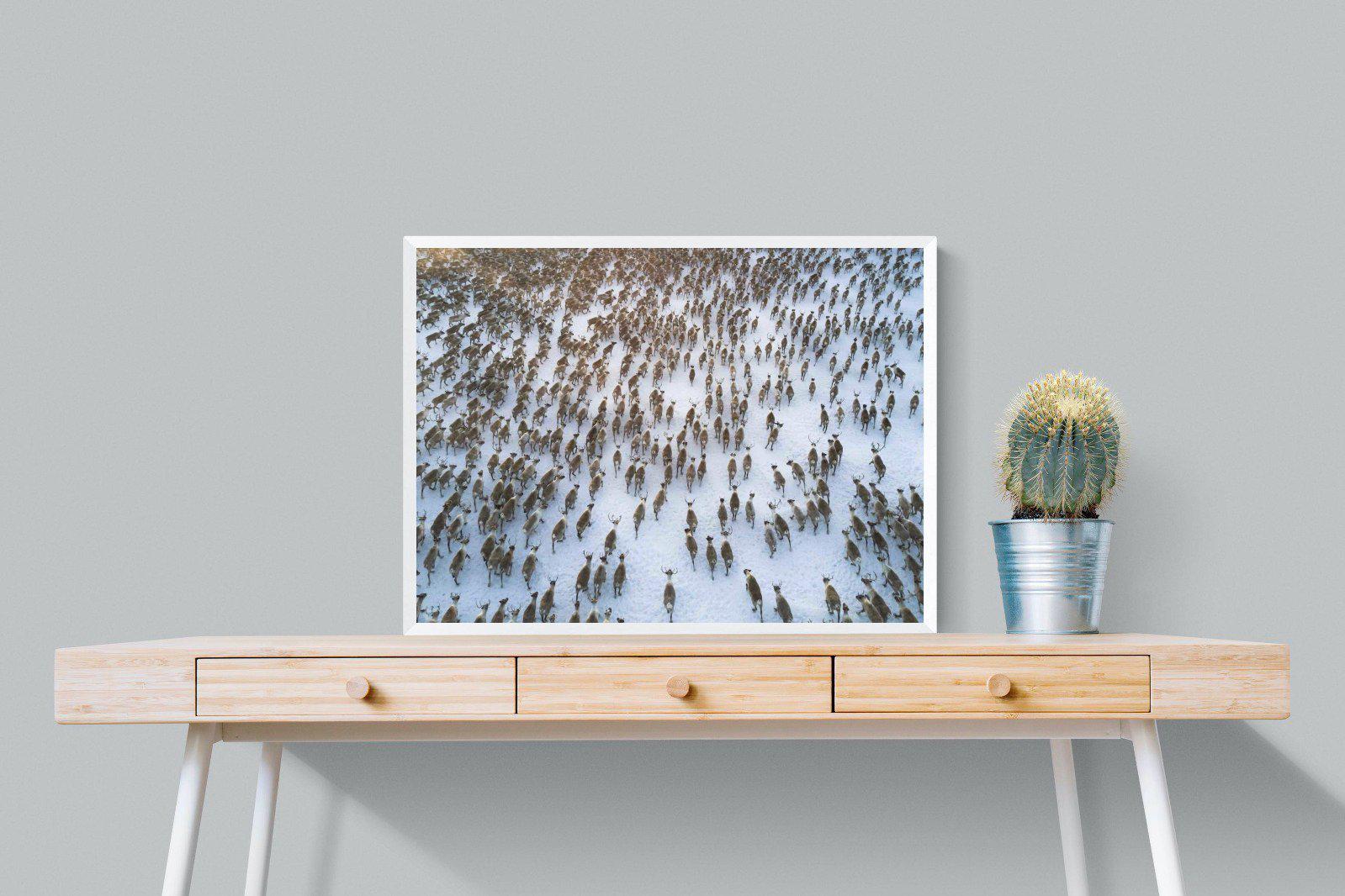 Reindeer Herd-Wall_Art-80 x 60cm-Mounted Canvas-White-Pixalot