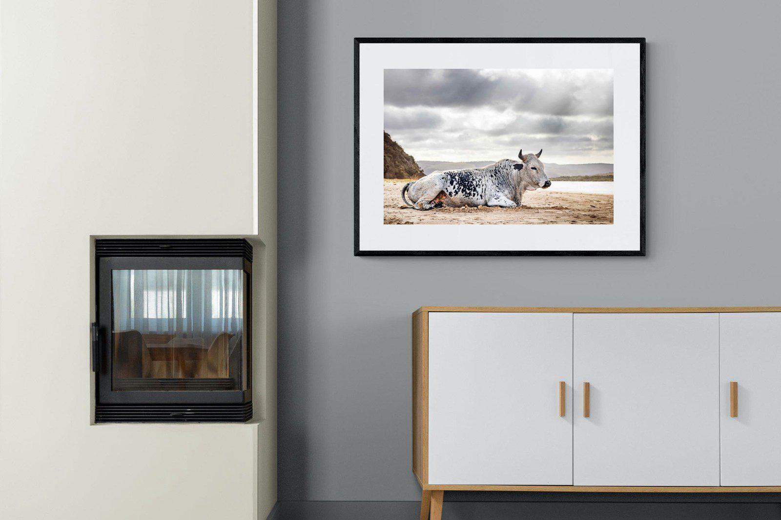 Resting Bull-Wall_Art-100 x 75cm-Framed Print-Black-Pixalot