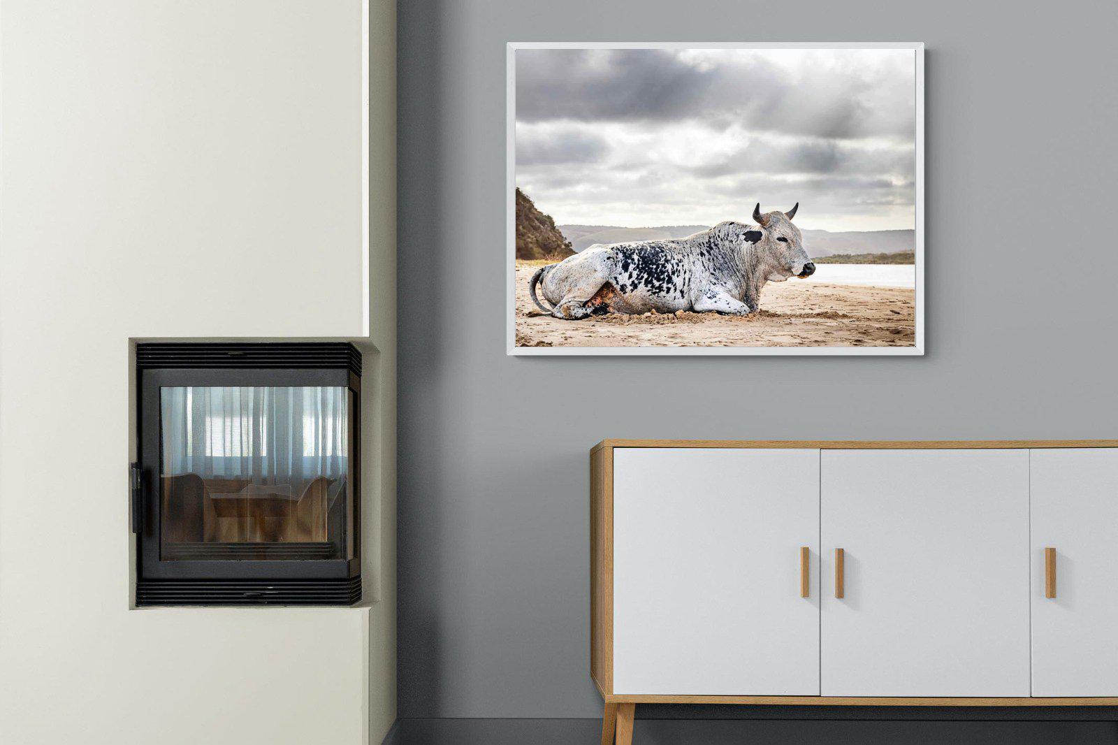 Resting Bull-Wall_Art-100 x 75cm-Mounted Canvas-White-Pixalot