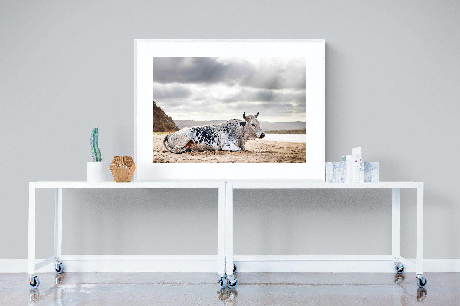 Resting Bull-Wall_Art-120 x 90cm-Framed Print-White-Pixalot