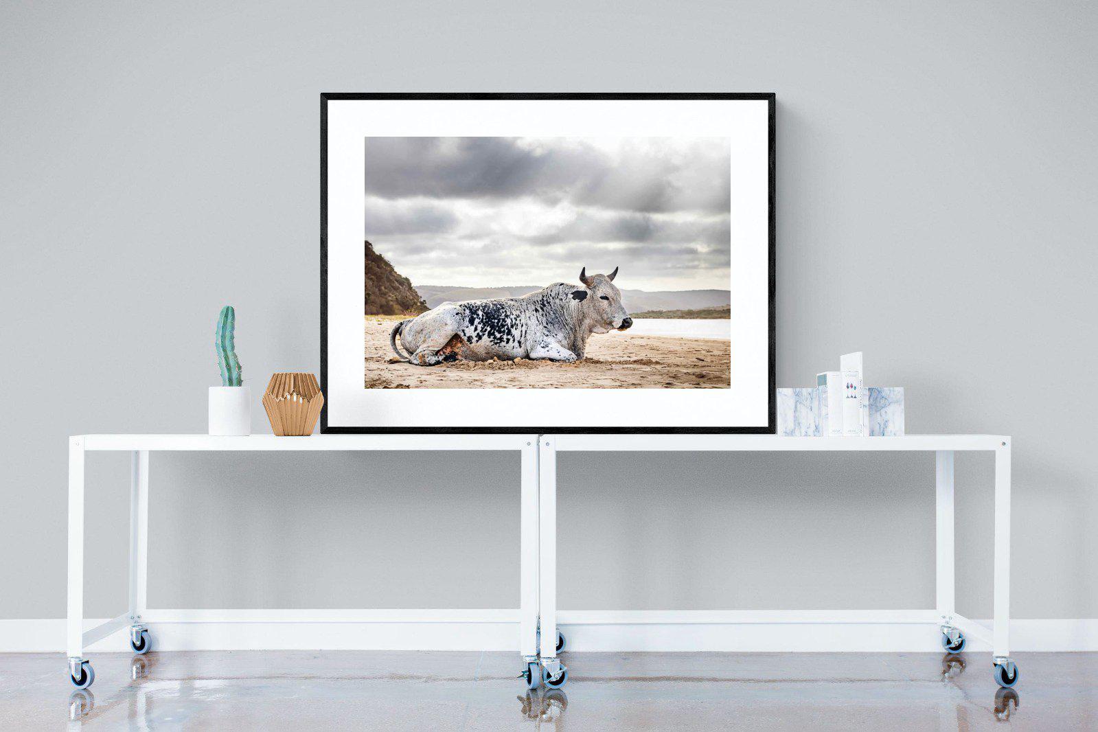 Resting Bull-Wall_Art-120 x 90cm-Framed Print-Black-Pixalot