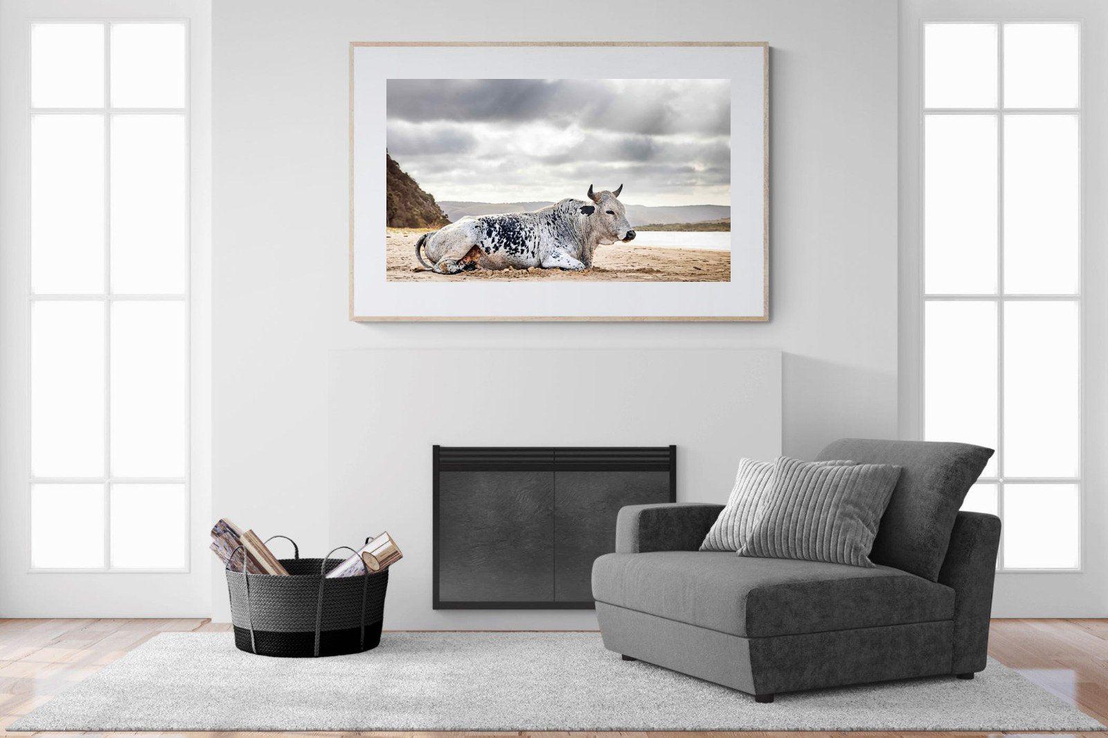 Resting Bull-Wall_Art-150 x 100cm-Framed Print-Wood-Pixalot