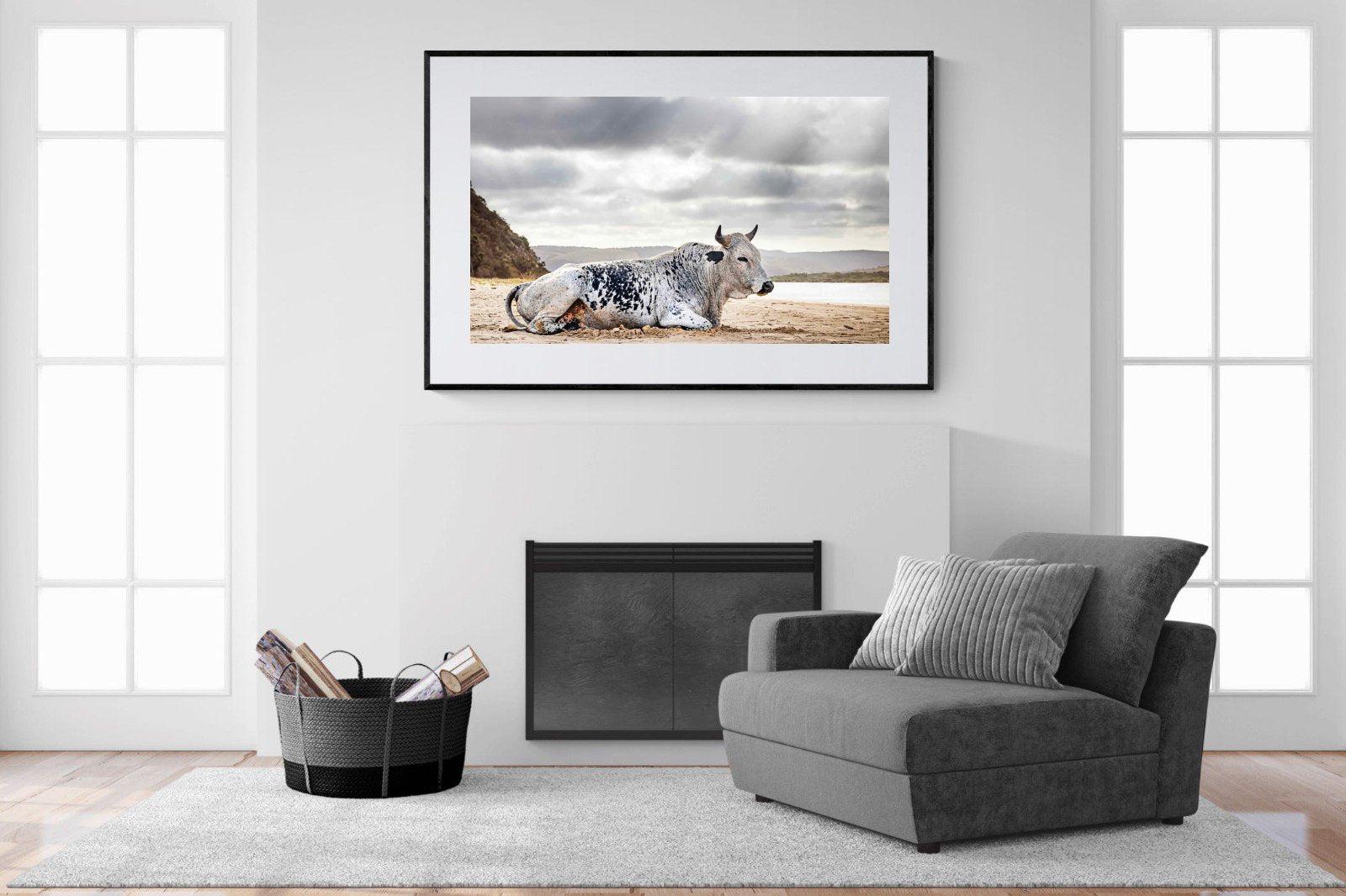 Resting Bull-Wall_Art-150 x 100cm-Framed Print-Black-Pixalot