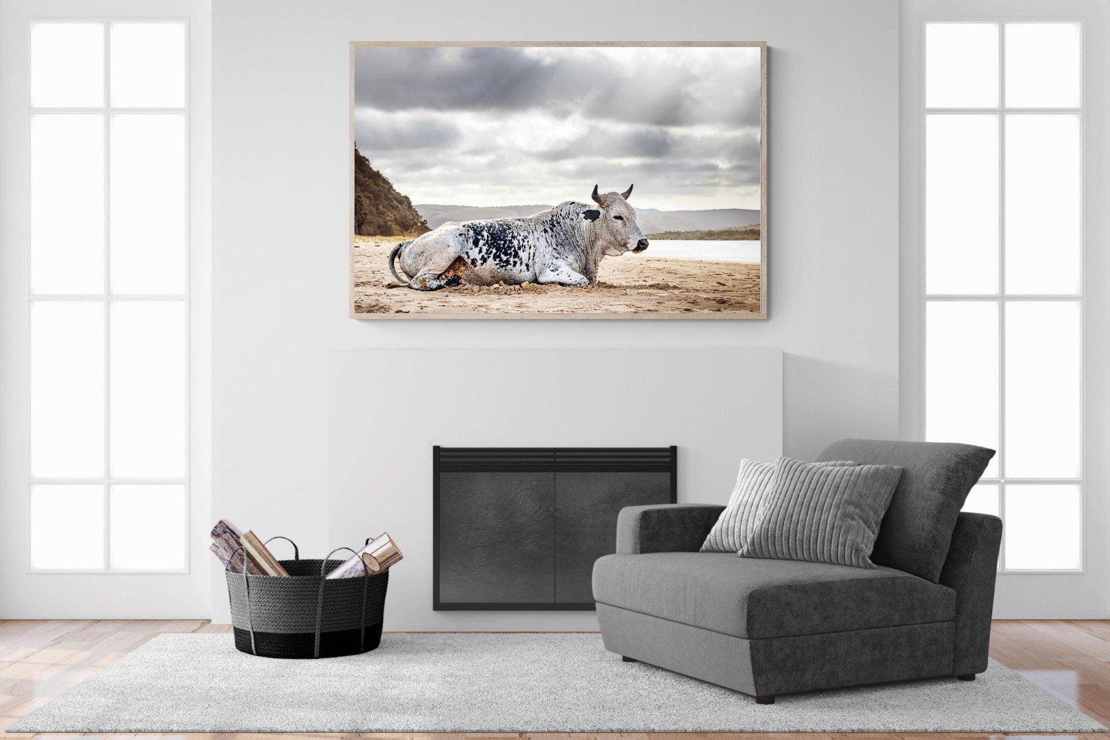 Resting Bull-Wall_Art-150 x 100cm-Mounted Canvas-Wood-Pixalot