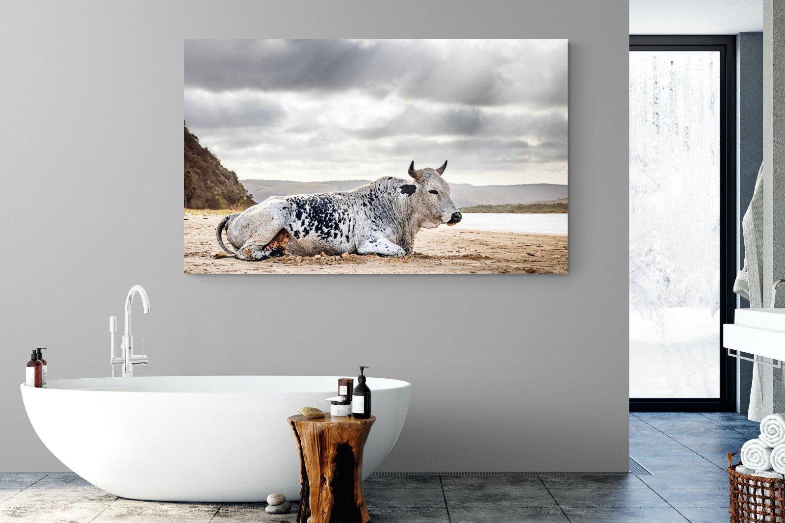 Resting Bull-Wall_Art-180 x 110cm-Mounted Canvas-No Frame-Pixalot