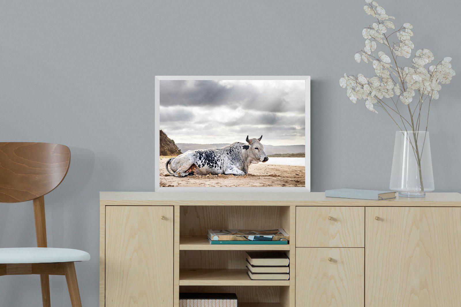 Resting Bull-Wall_Art-60 x 45cm-Mounted Canvas-White-Pixalot