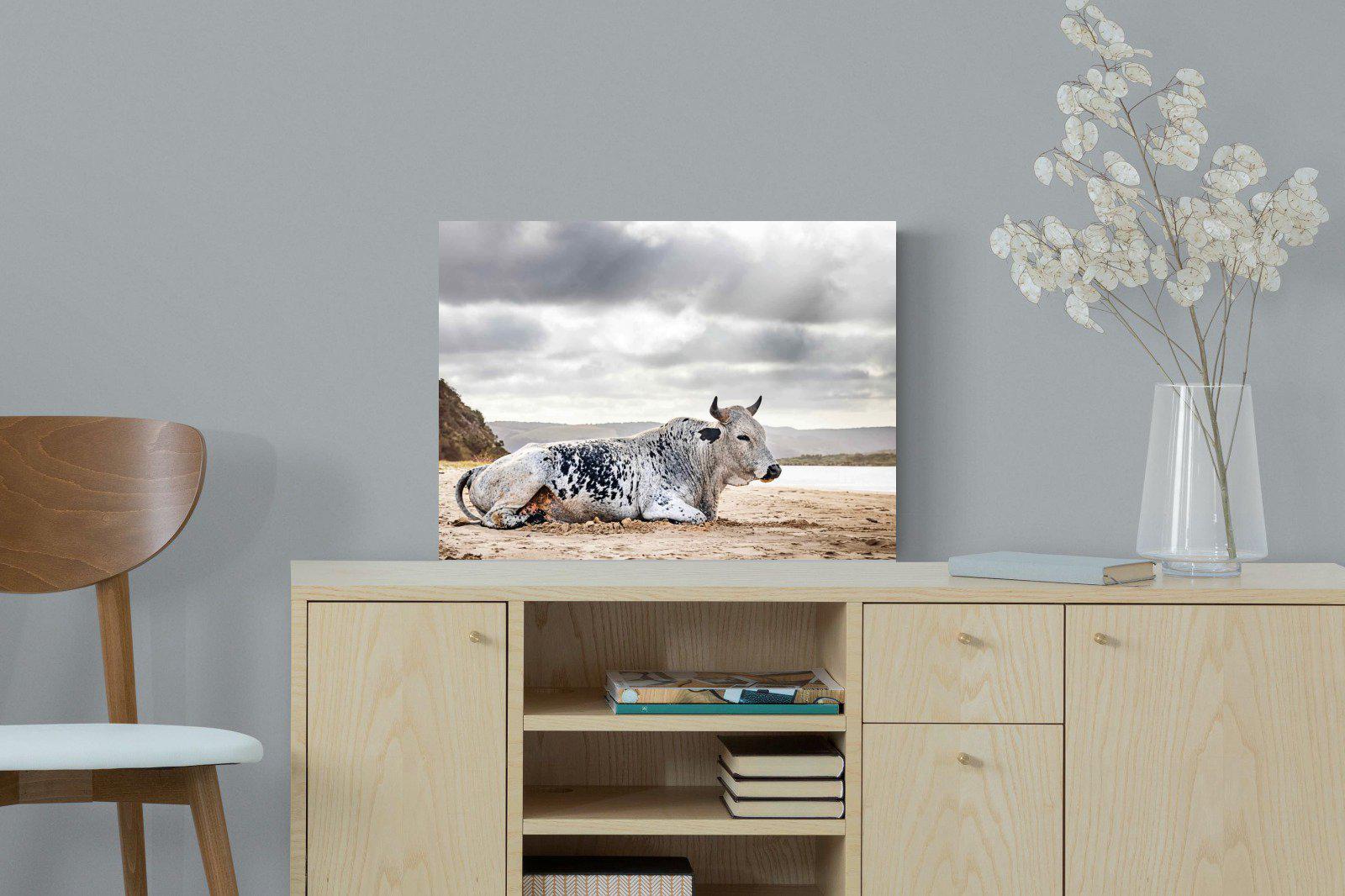 Resting Bull-Wall_Art-60 x 45cm-Mounted Canvas-No Frame-Pixalot