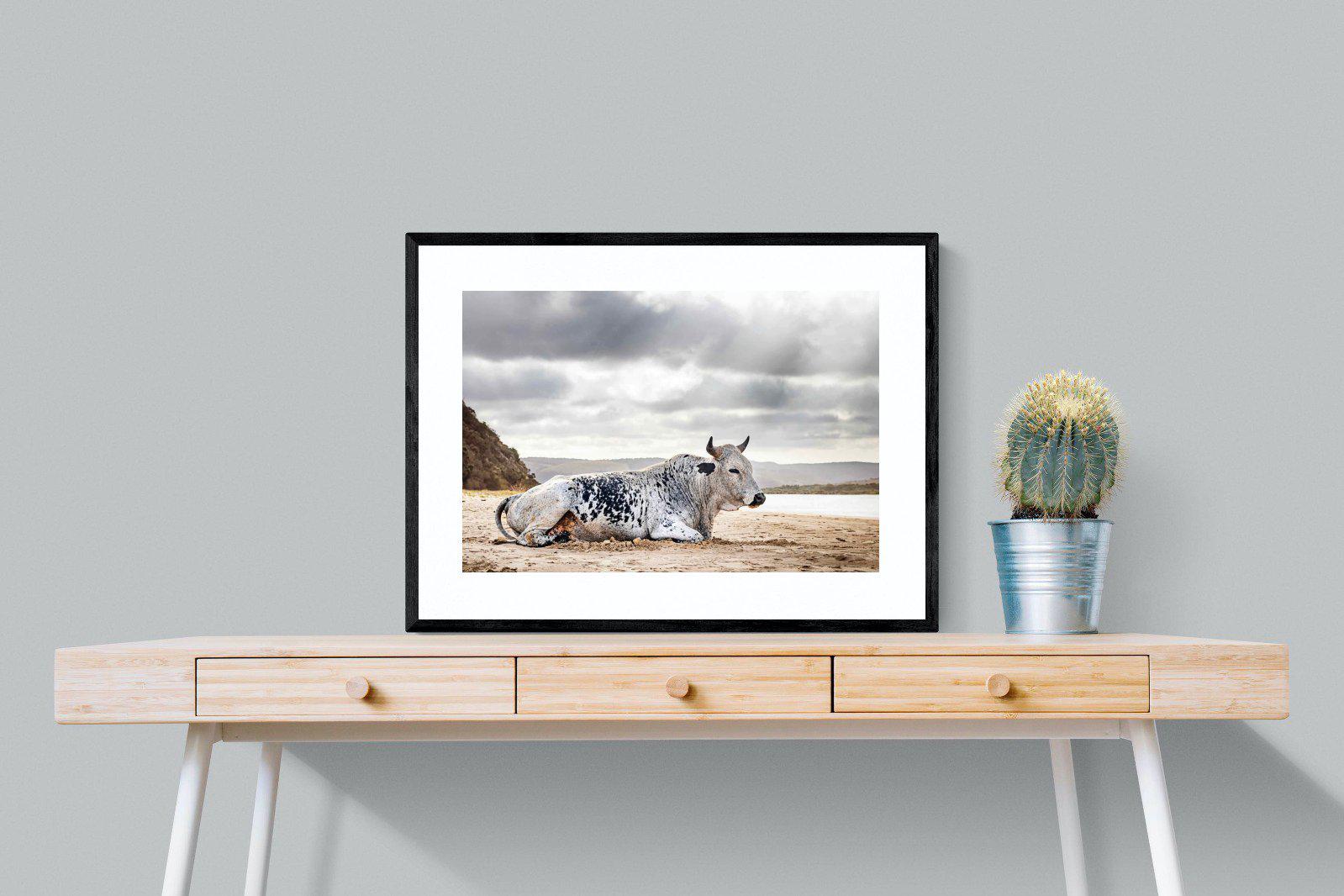 Resting Bull-Wall_Art-80 x 60cm-Framed Print-Black-Pixalot