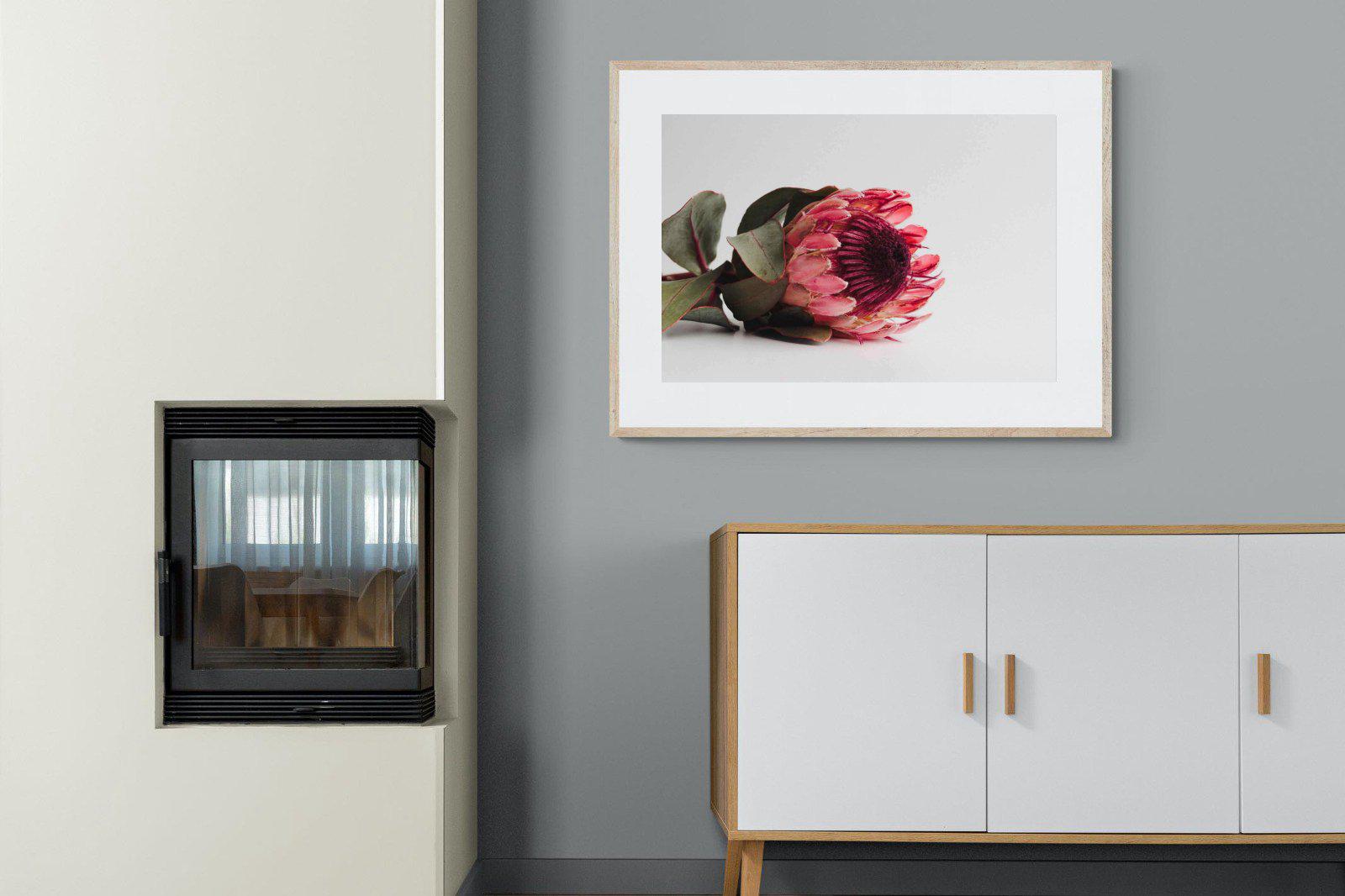Resting Protea-Wall_Art-100 x 75cm-Framed Print-Wood-Pixalot
