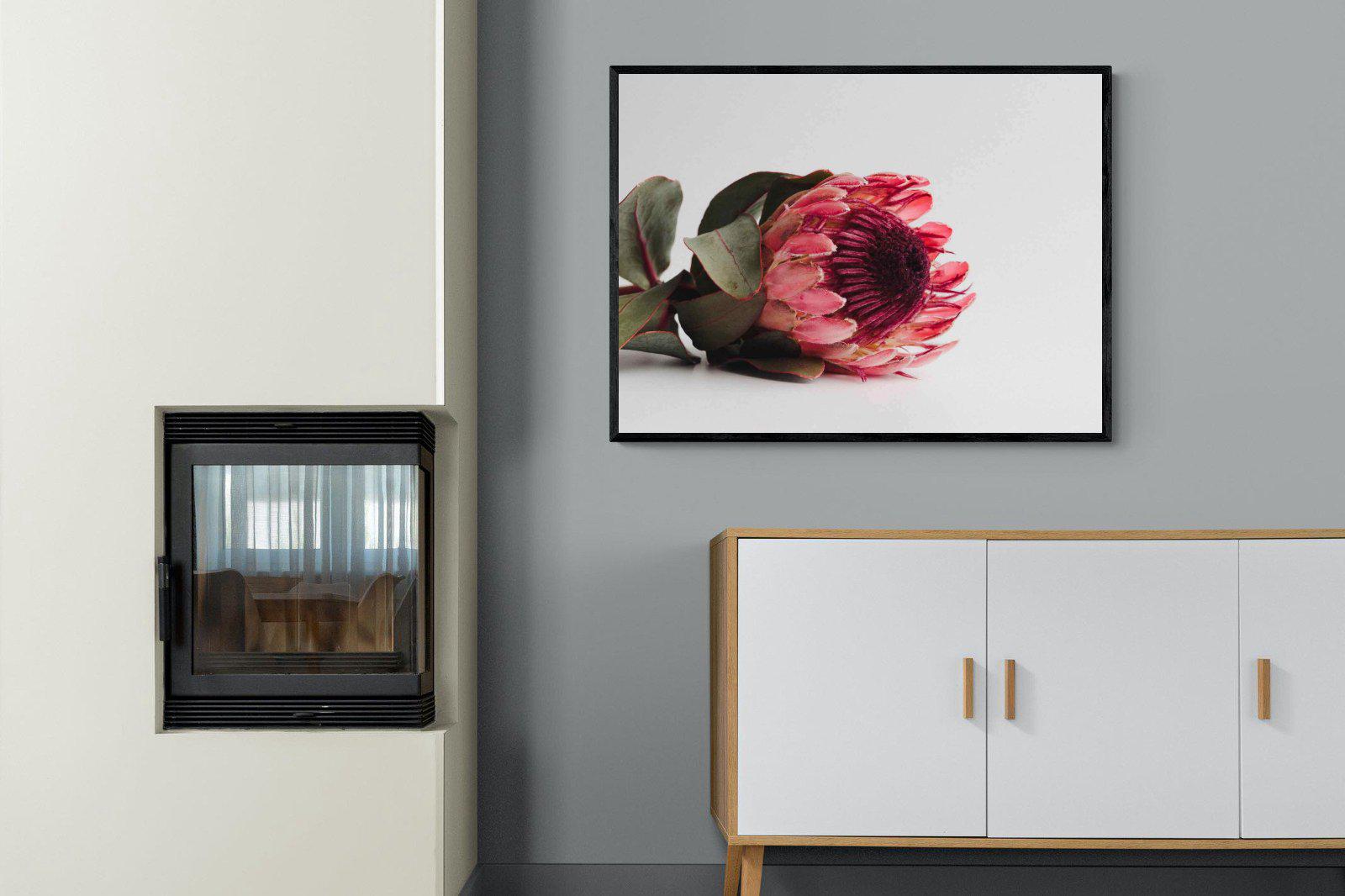 Resting Protea-Wall_Art-100 x 75cm-Mounted Canvas-Black-Pixalot
