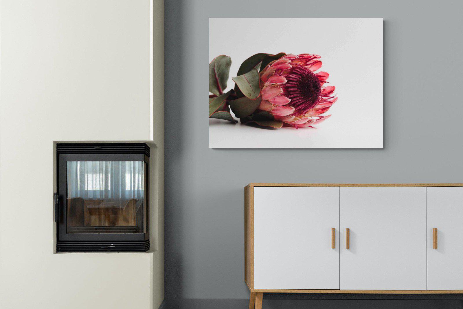 Resting Protea-Wall_Art-100 x 75cm-Mounted Canvas-No Frame-Pixalot