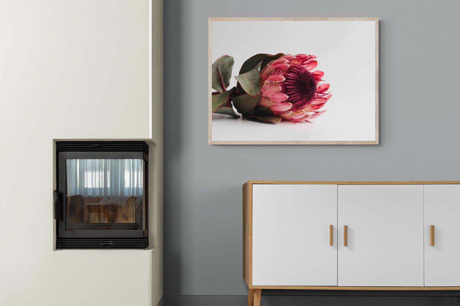 Resting Protea-Wall_Art-100 x 75cm-Mounted Canvas-Wood-Pixalot