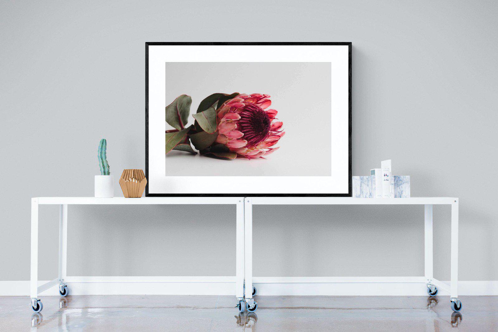 Resting Protea-Wall_Art-120 x 90cm-Framed Print-Black-Pixalot