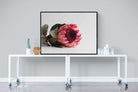 Resting Protea-Wall_Art-120 x 90cm-Mounted Canvas-Black-Pixalot