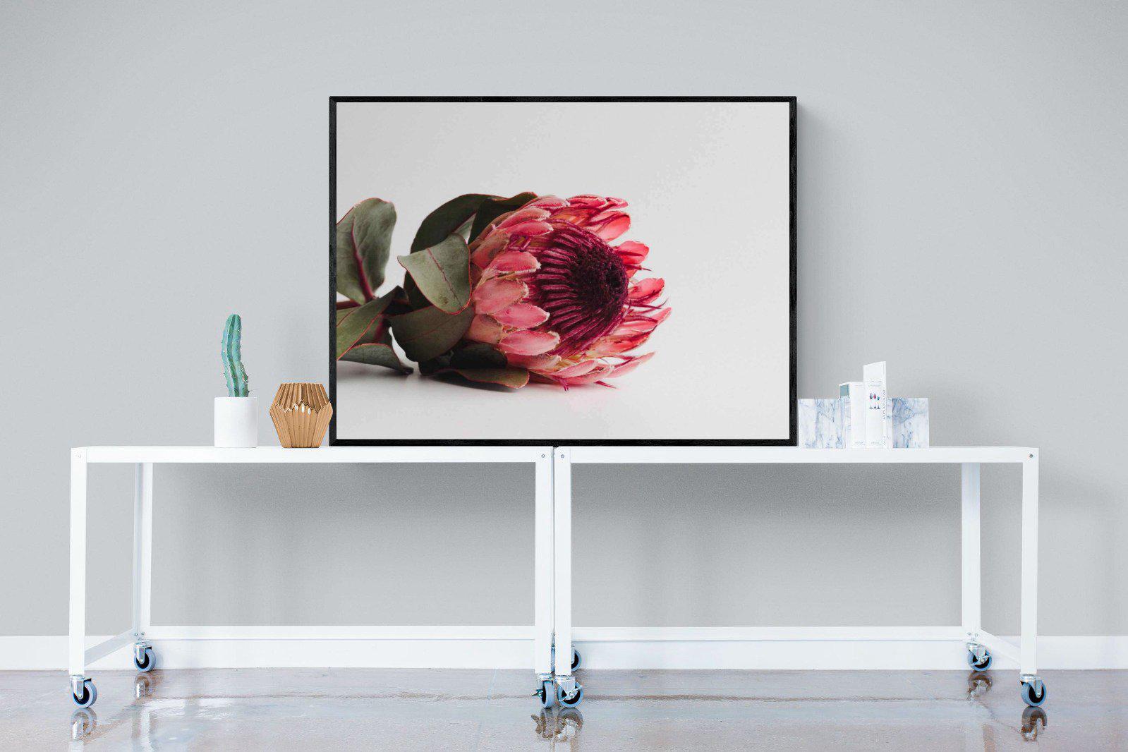 Resting Protea-Wall_Art-120 x 90cm-Mounted Canvas-Black-Pixalot