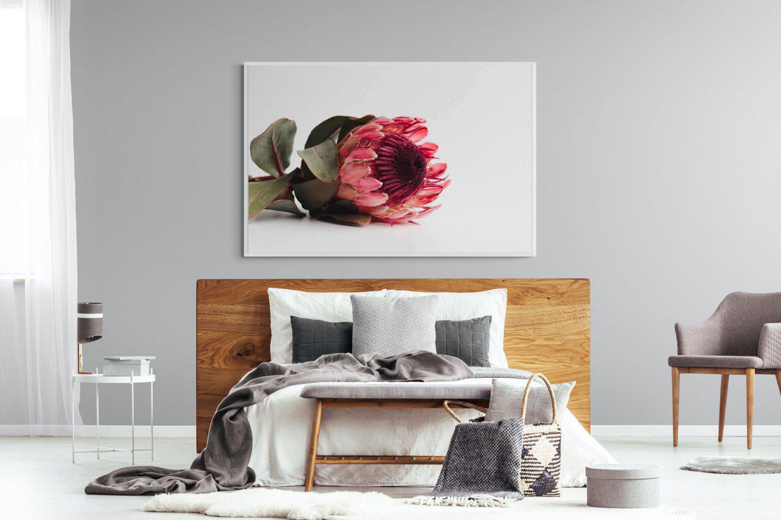 Resting Protea-Wall_Art-150 x 100cm-Mounted Canvas-White-Pixalot