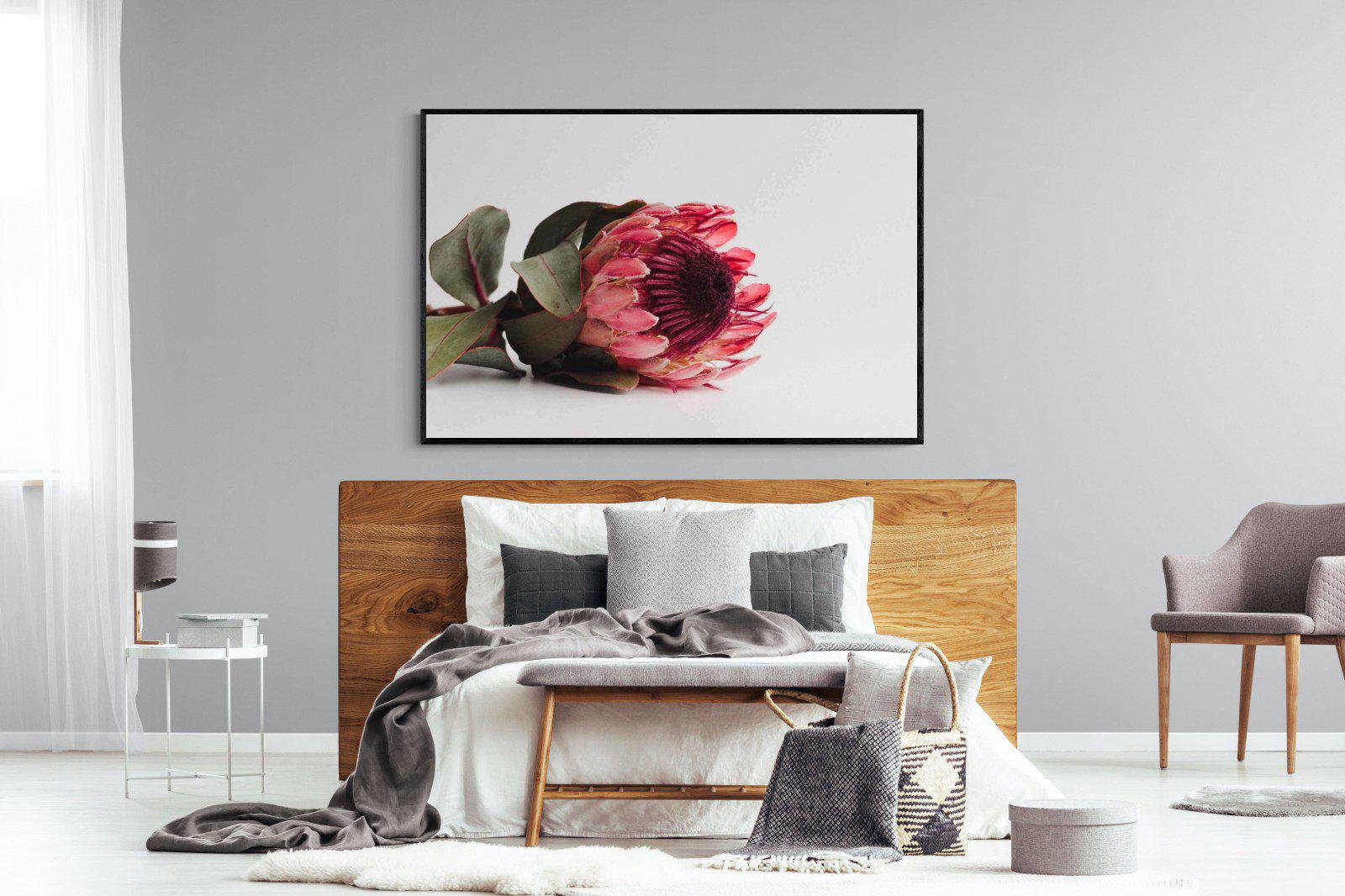 Resting Protea-Wall_Art-150 x 100cm-Mounted Canvas-Black-Pixalot