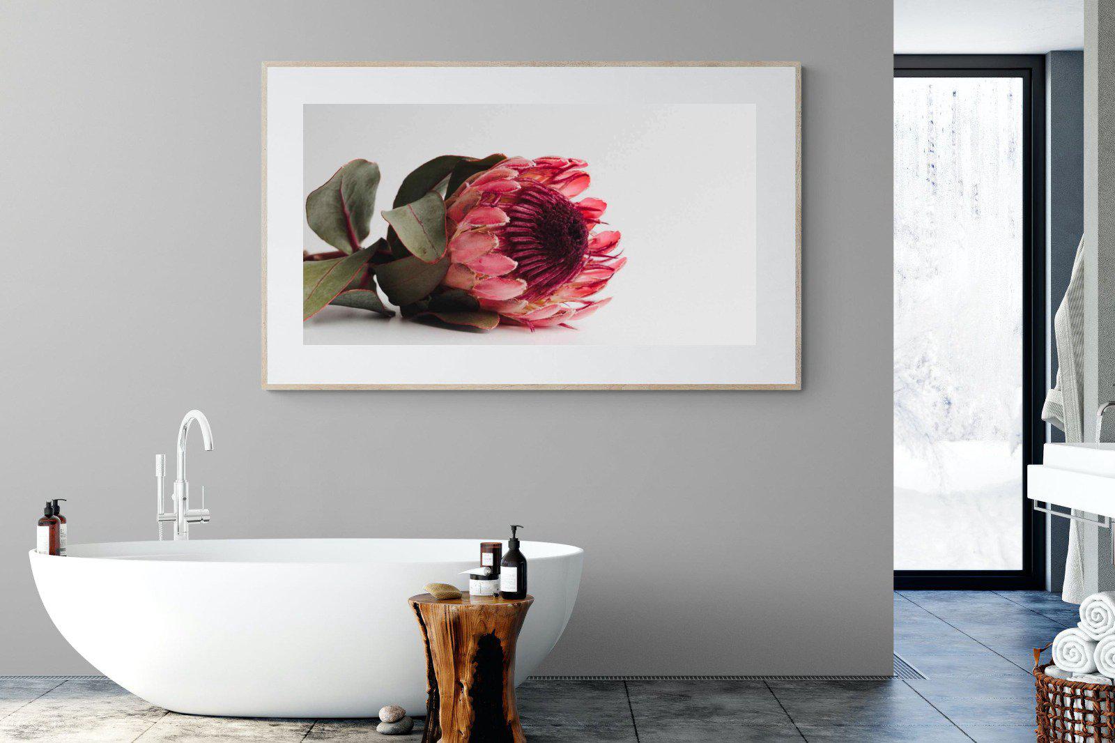 Resting Protea-Wall_Art-180 x 110cm-Framed Print-Wood-Pixalot