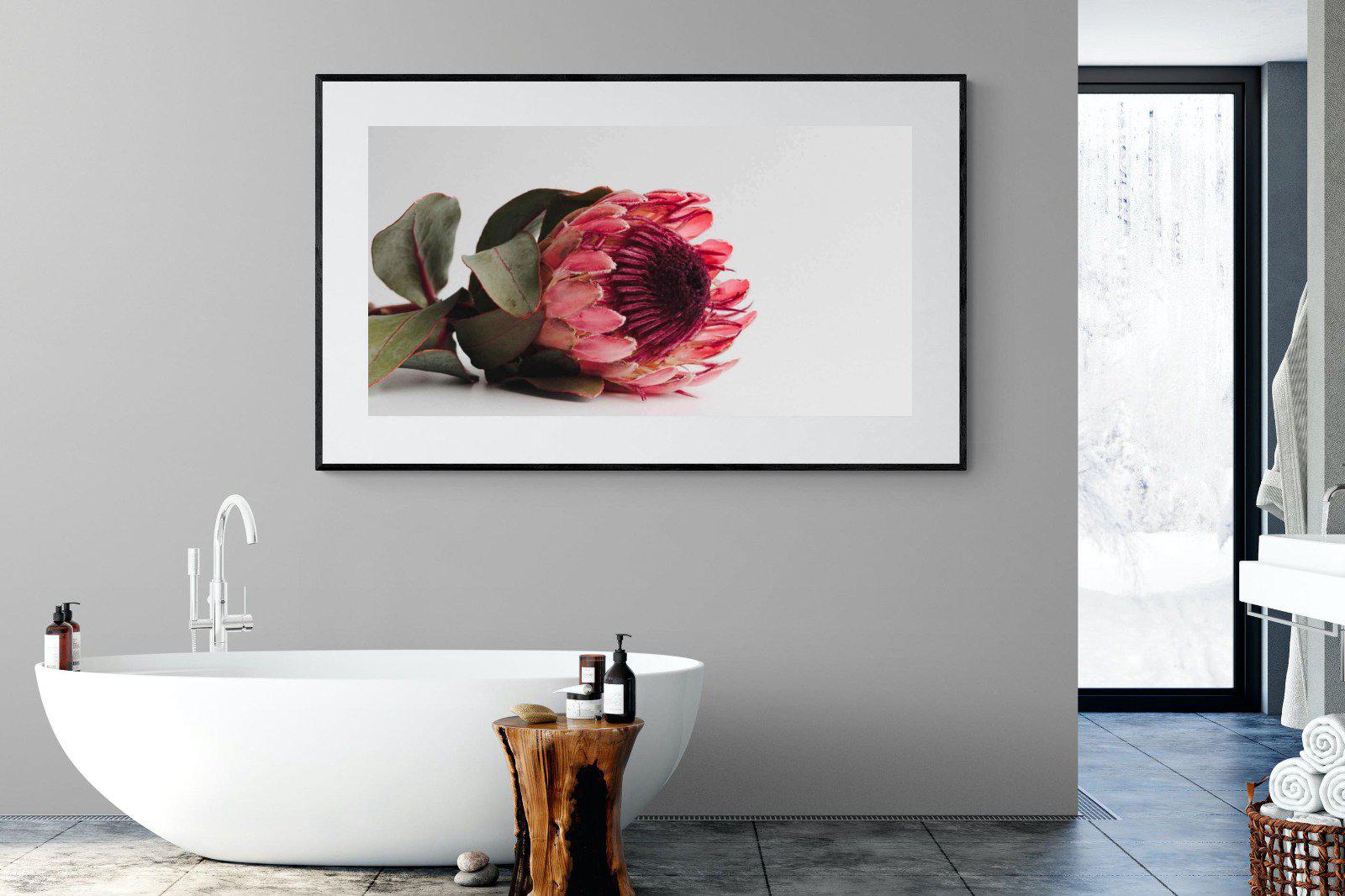 Resting Protea-Wall_Art-180 x 110cm-Framed Print-Black-Pixalot