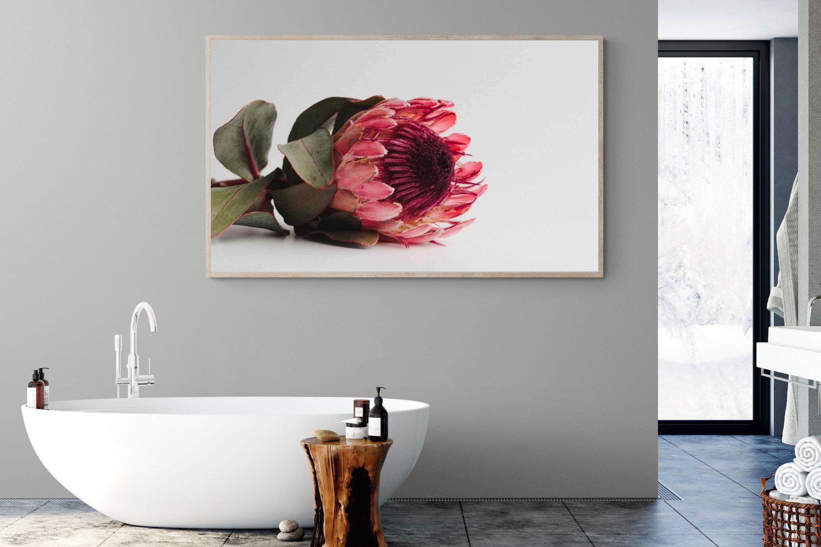 Resting Protea-Wall_Art-180 x 110cm-Mounted Canvas-Wood-Pixalot