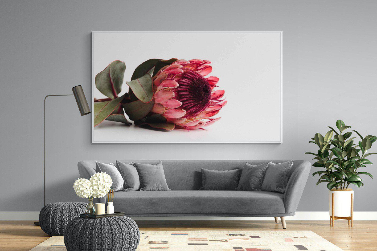 Resting Protea-Wall_Art-220 x 130cm-Mounted Canvas-White-Pixalot