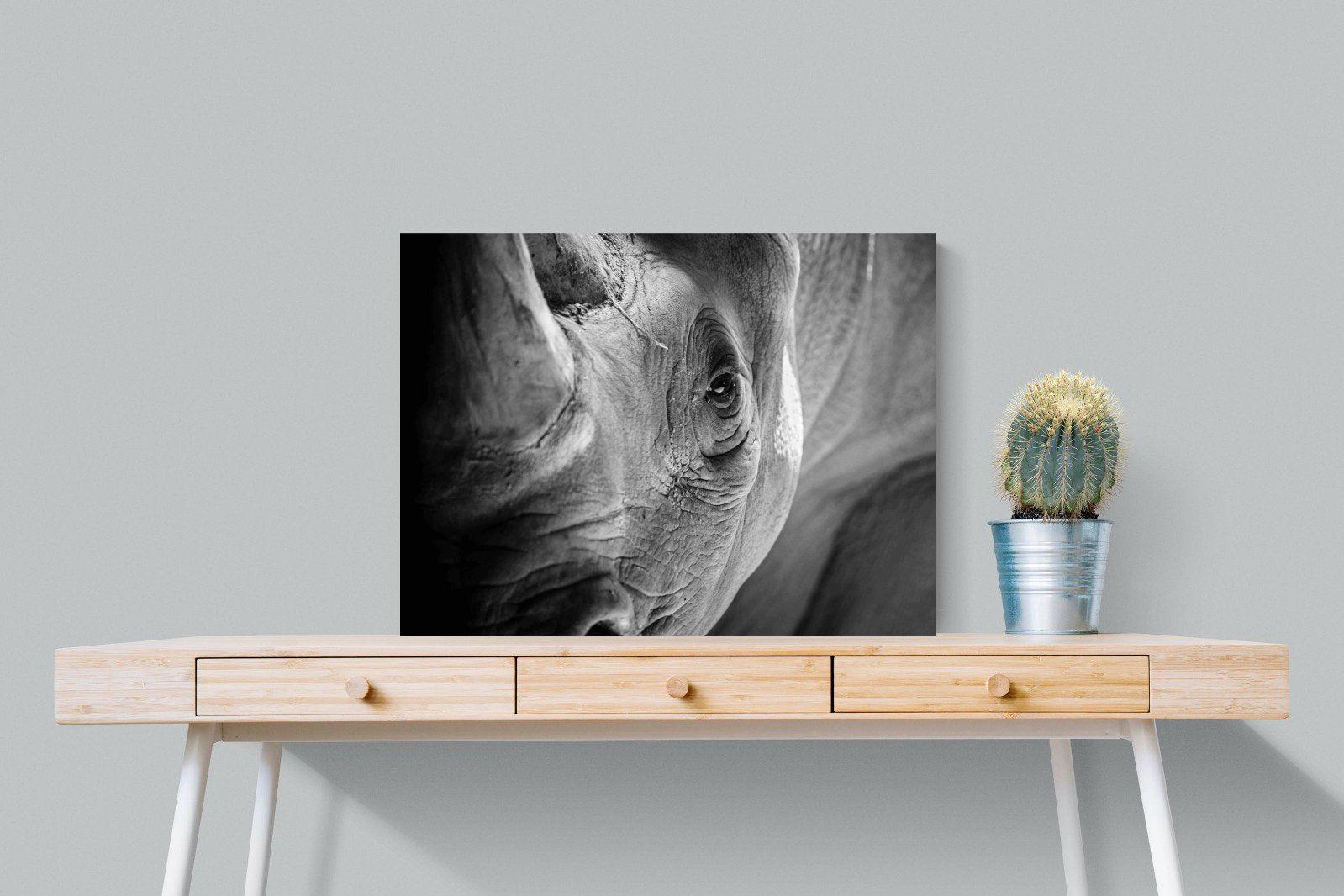 Rhino Eye-Wall_Art-80 x 60cm-Mounted Canvas-No Frame-Pixalot