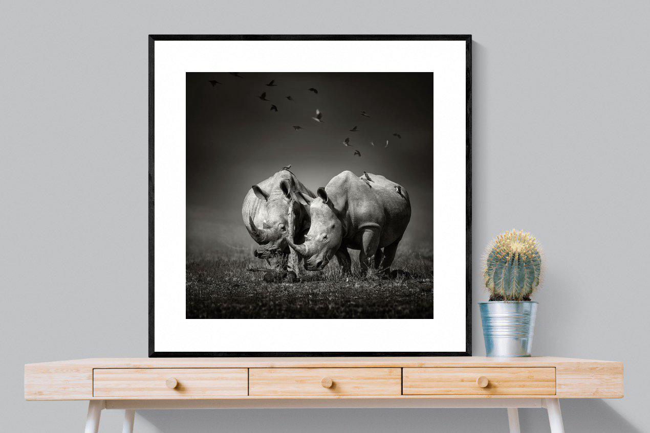 Rhino Pair-Wall_Art-100 x 100cm-Framed Print-Black-Pixalot