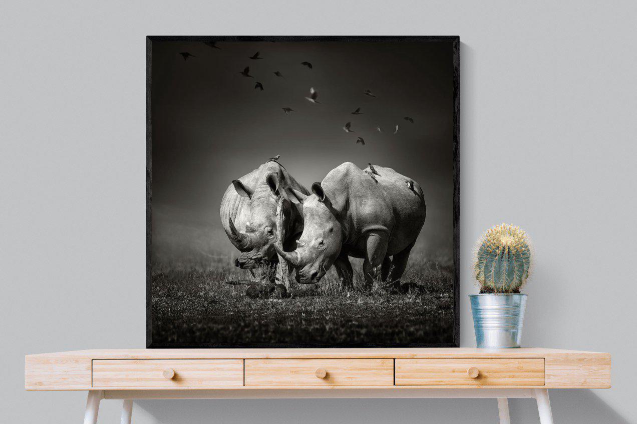 Rhino Pair-Wall_Art-100 x 100cm-Mounted Canvas-Black-Pixalot
