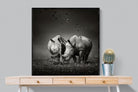 Rhino Pair-Wall_Art-100 x 100cm-Mounted Canvas-Black-Pixalot