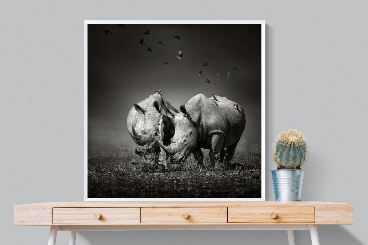 Rhino Pair-Wall_Art-100 x 100cm-Mounted Canvas-White-Pixalot
