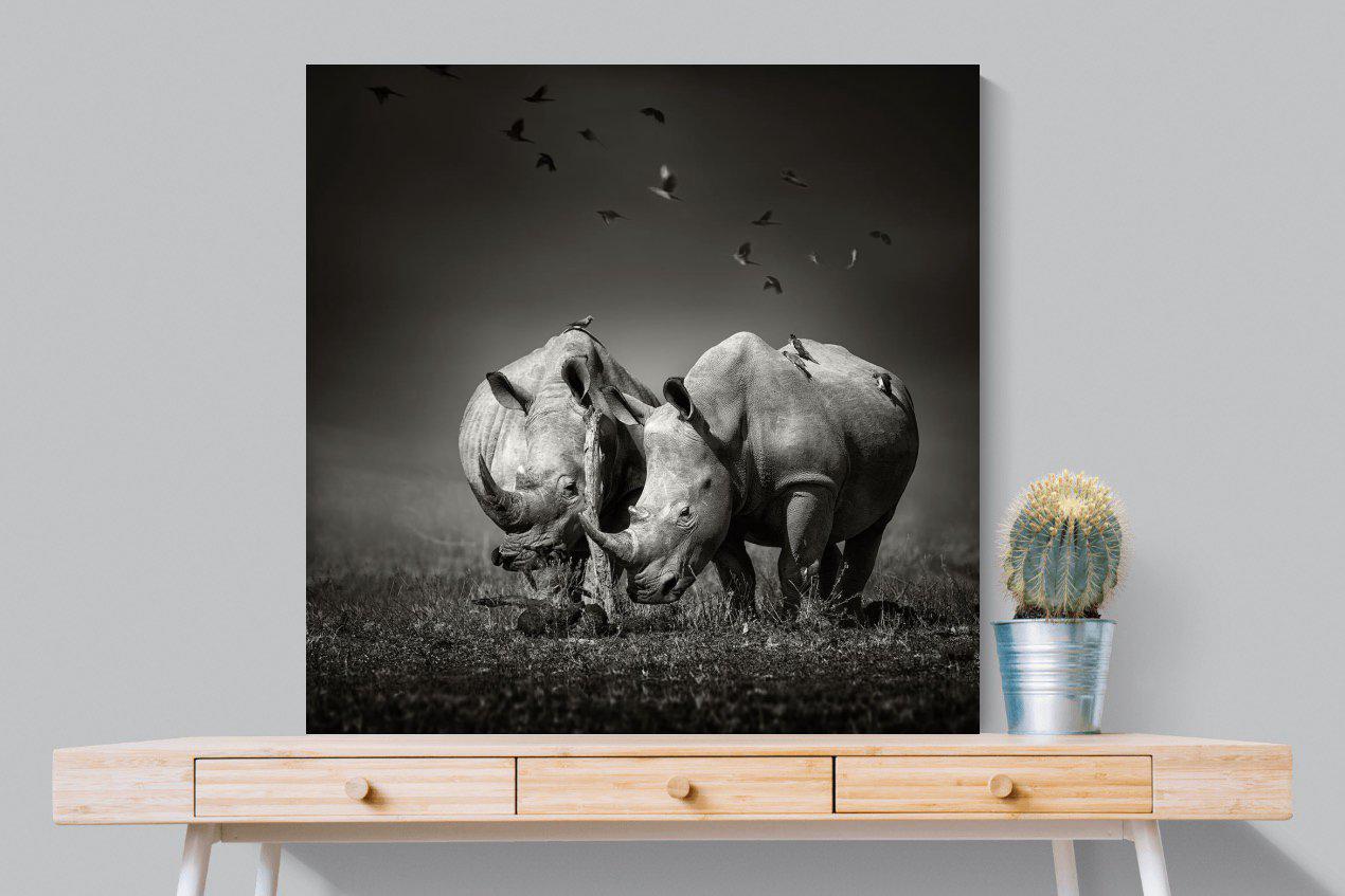 Rhino Pair-Wall_Art-100 x 100cm-Mounted Canvas-No Frame-Pixalot