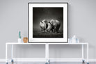Rhino Pair-Wall_Art-120 x 120cm-Framed Print-Black-Pixalot