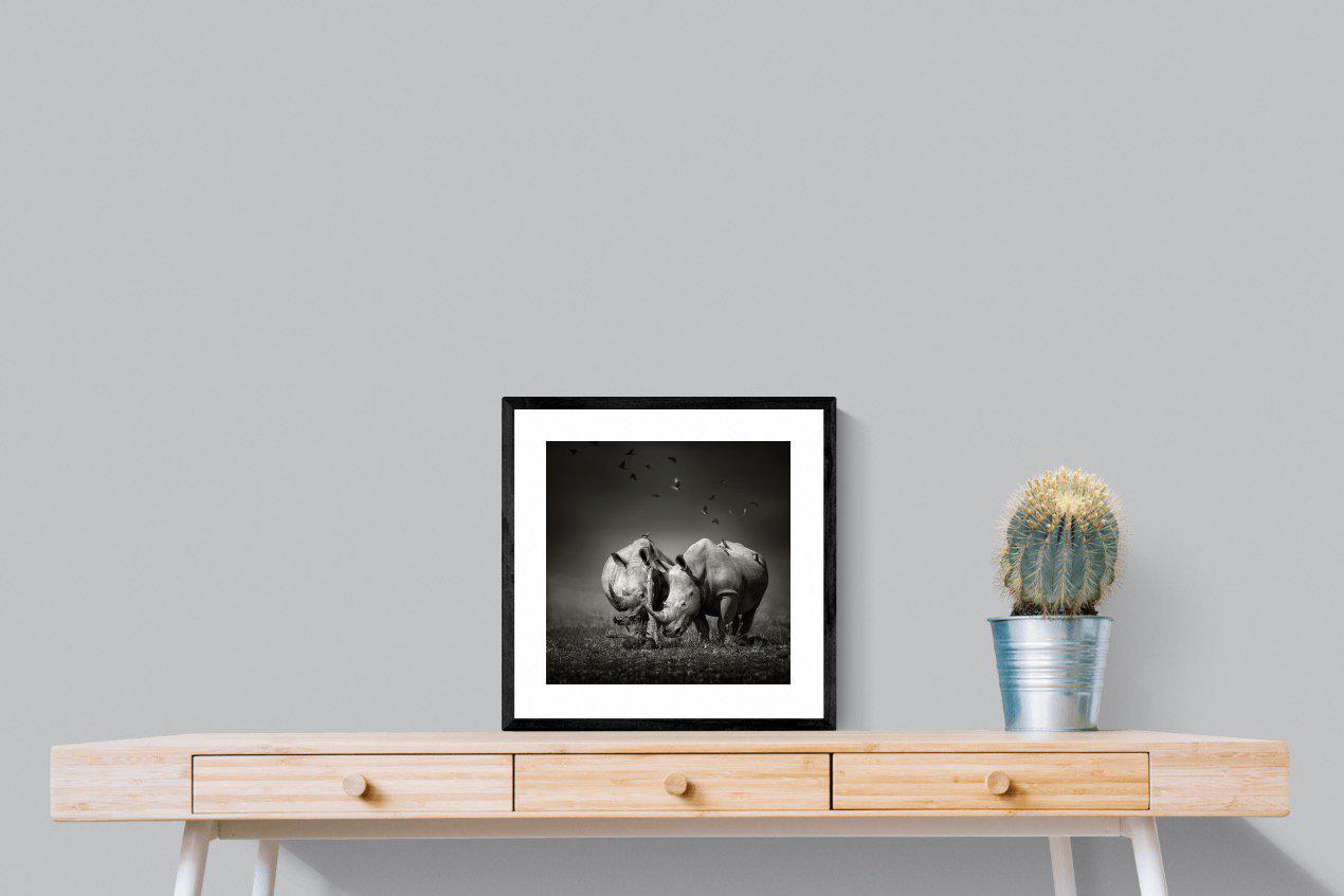 Rhino Pair-Wall_Art-50 x 50cm-Framed Print-Black-Pixalot