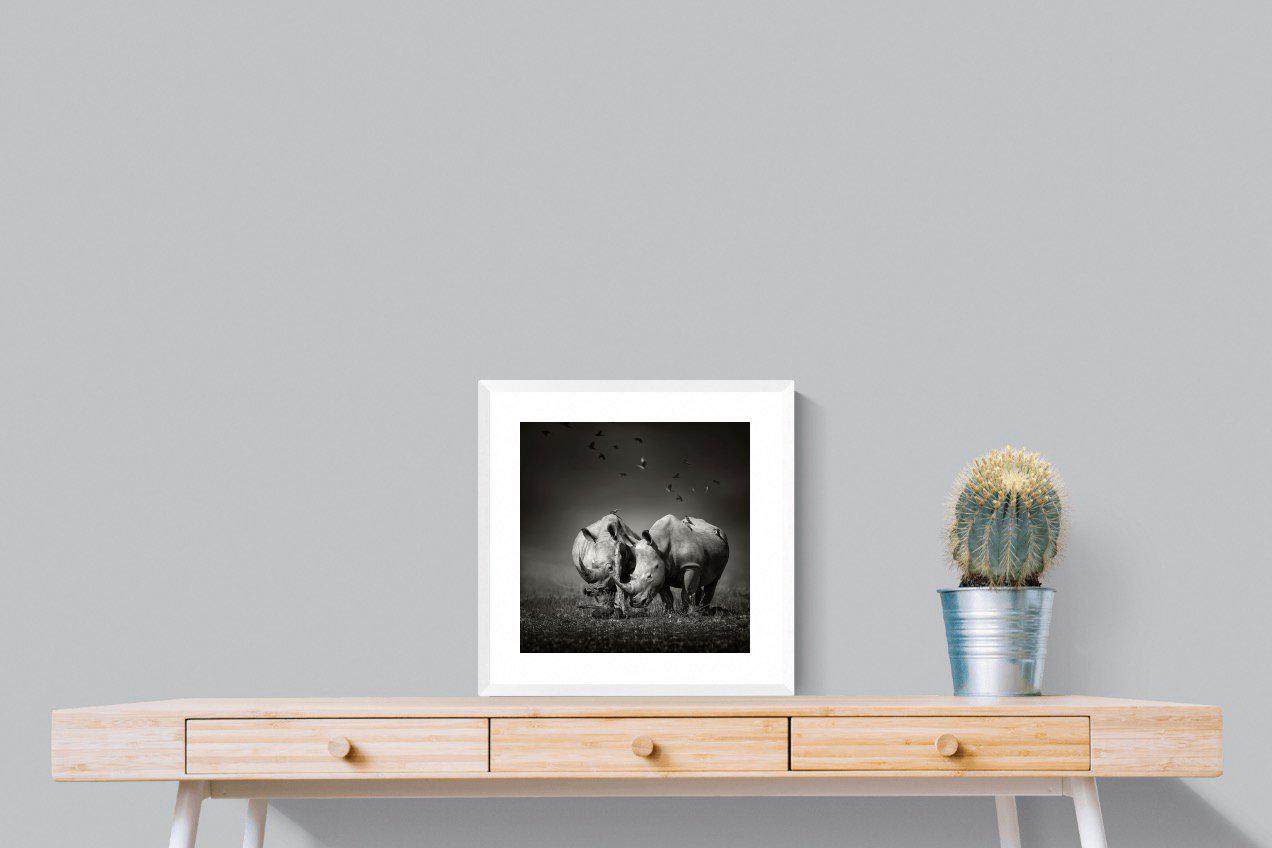 Rhino Pair-Wall_Art-50 x 50cm-Framed Print-White-Pixalot