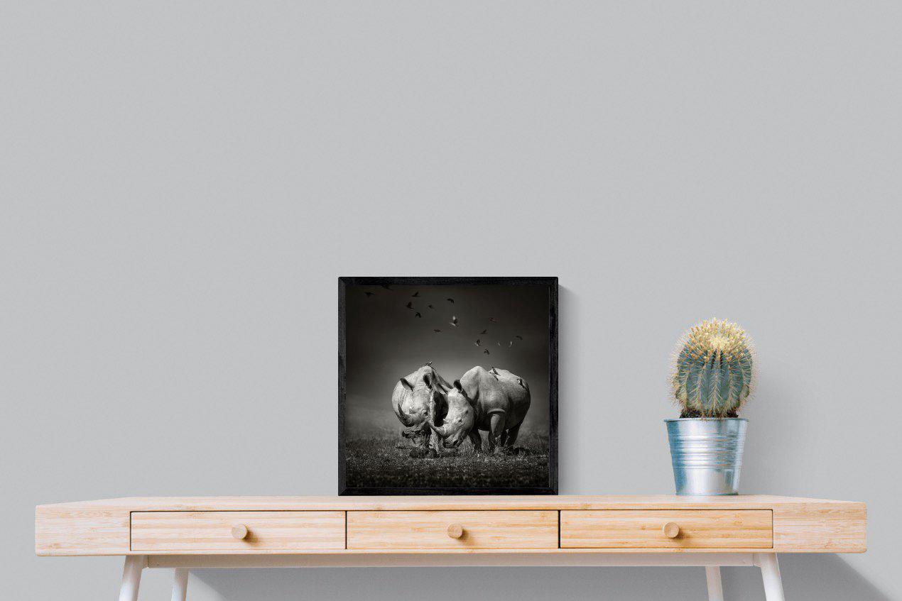 Rhino Pair-Wall_Art-50 x 50cm-Mounted Canvas-Black-Pixalot