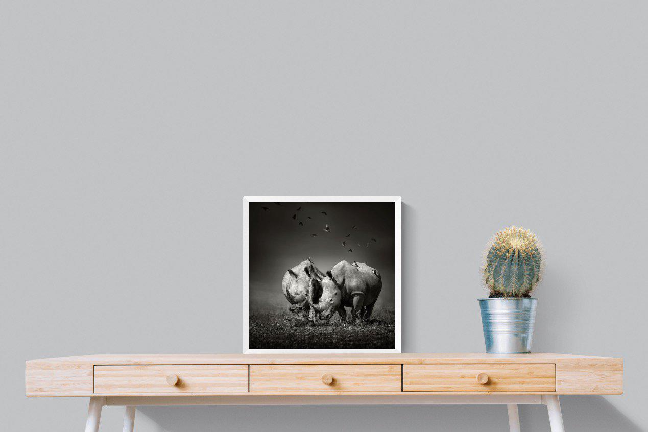 Rhino Pair-Wall_Art-50 x 50cm-Mounted Canvas-White-Pixalot