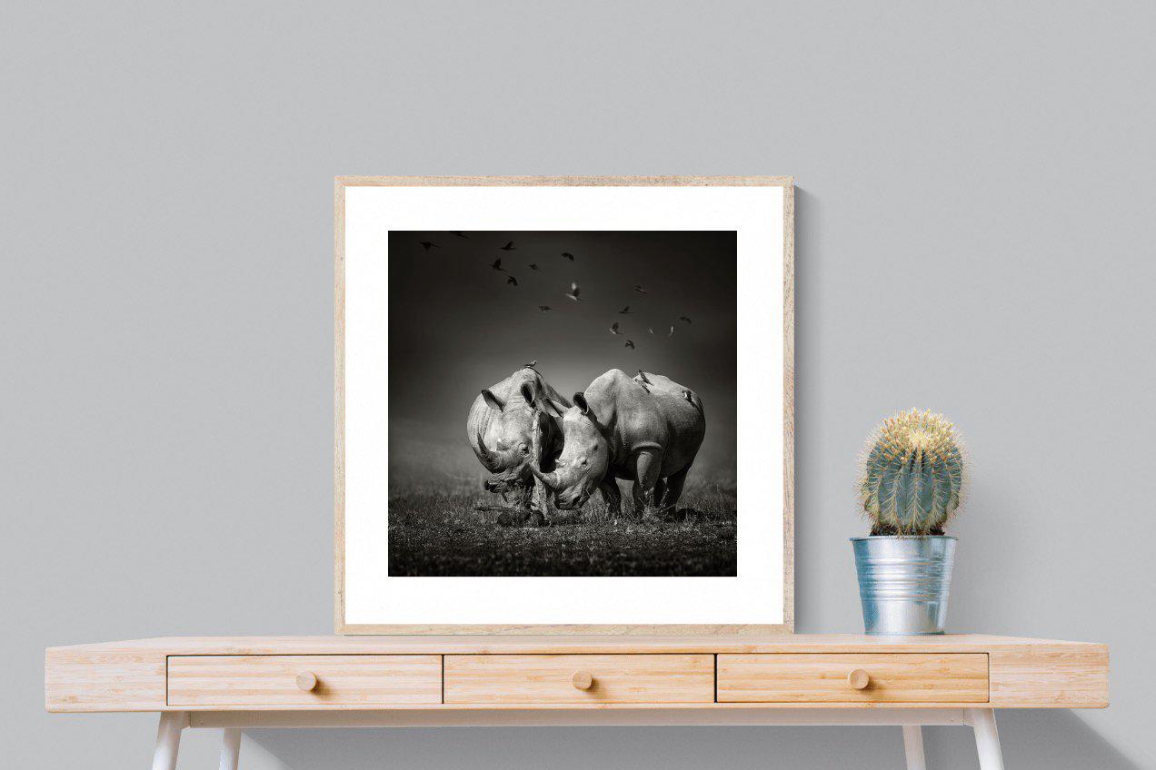 Rhino Pair-Wall_Art-80 x 80cm-Framed Print-Wood-Pixalot
