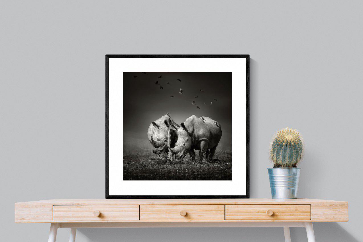 Rhino Pair-Wall_Art-80 x 80cm-Framed Print-Black-Pixalot