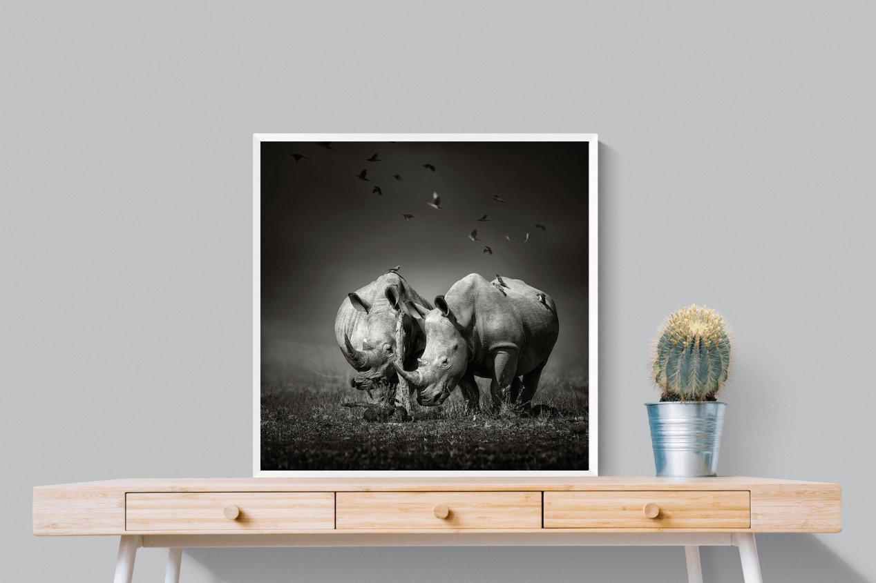 Rhino Pair-Wall_Art-80 x 80cm-Mounted Canvas-White-Pixalot