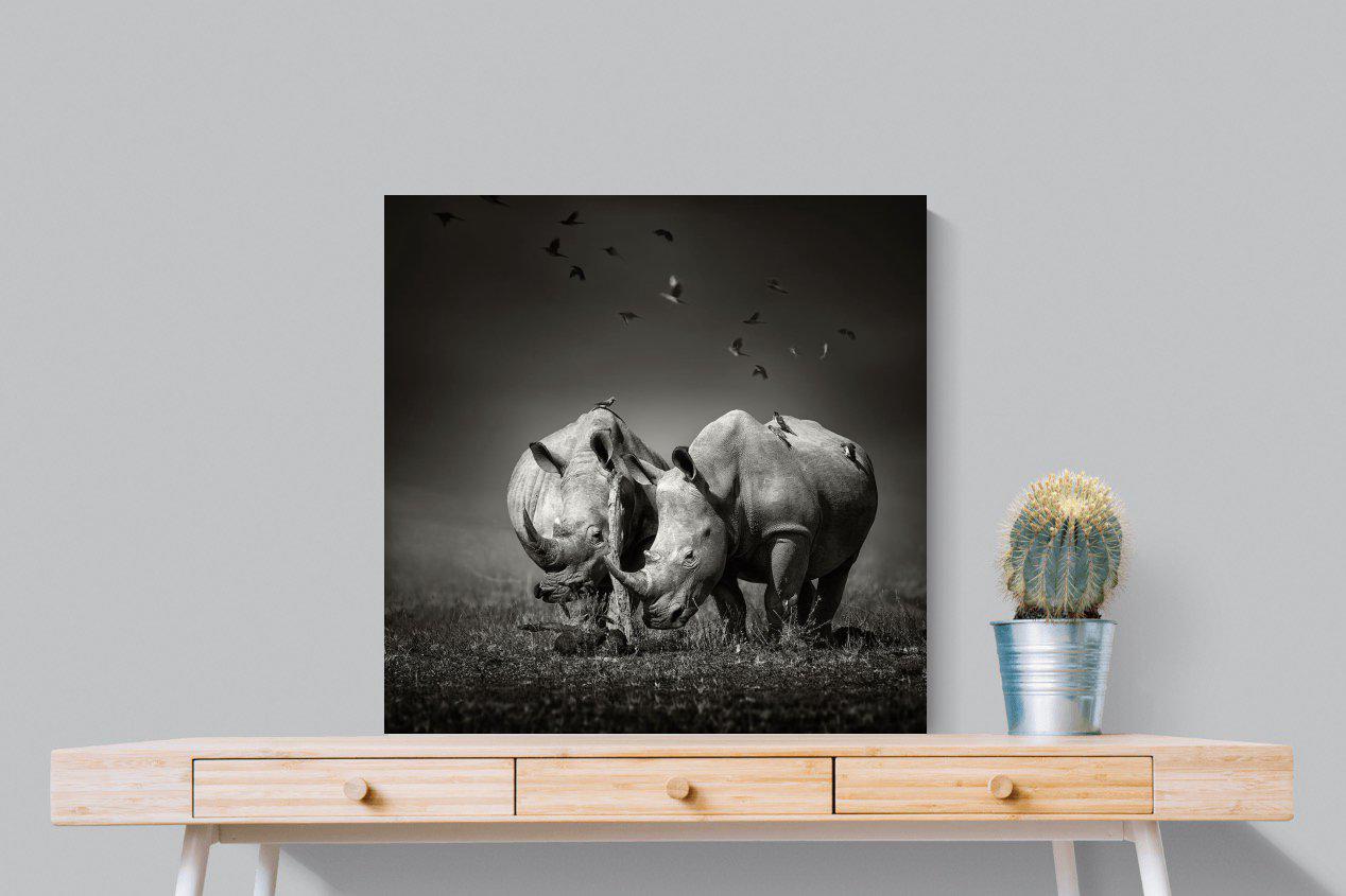 Rhino Pair-Wall_Art-80 x 80cm-Mounted Canvas-No Frame-Pixalot