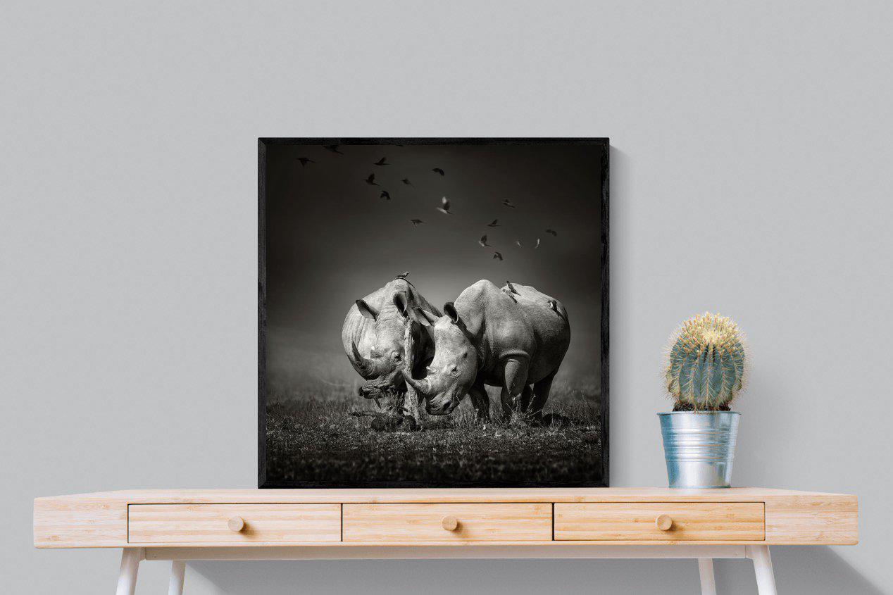 Rhino Pair-Wall_Art-80 x 80cm-Mounted Canvas-Black-Pixalot