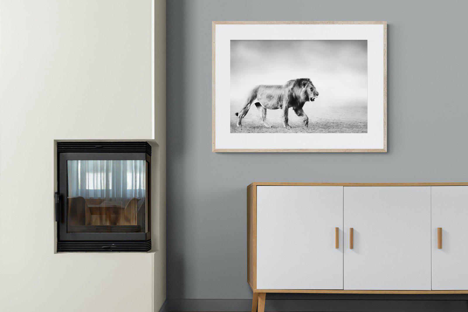 Roaming Lion-Wall_Art-100 x 75cm-Framed Print-Wood-Pixalot