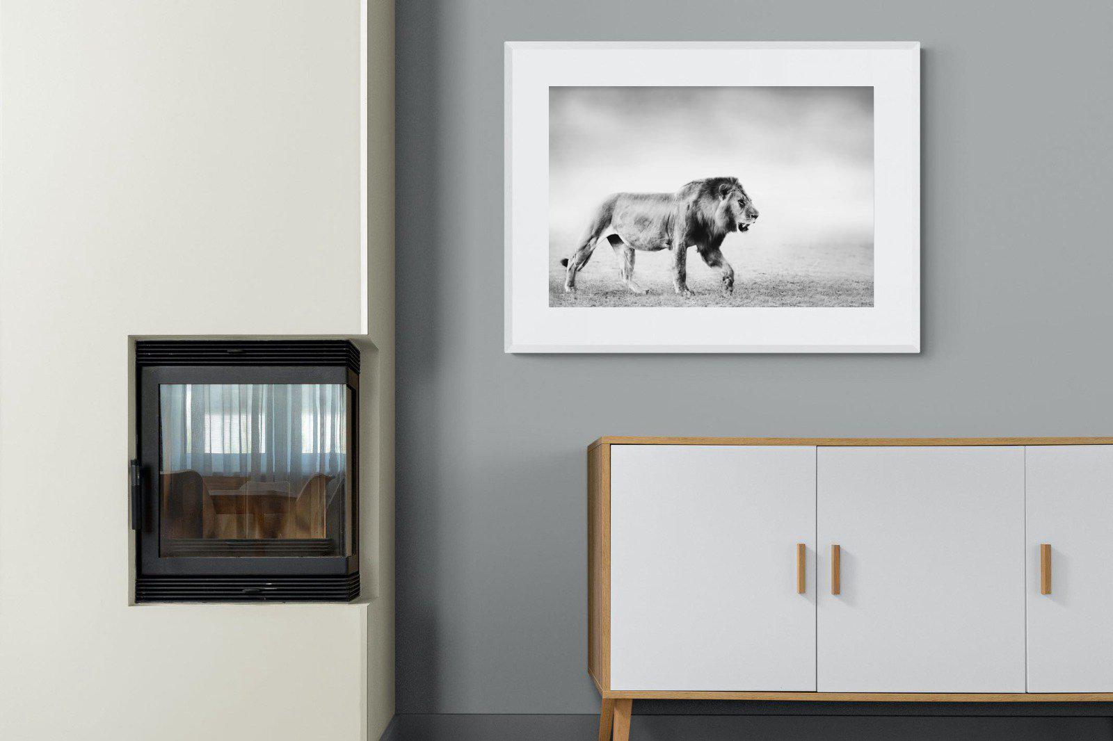 Roaming Lion-Wall_Art-100 x 75cm-Framed Print-White-Pixalot