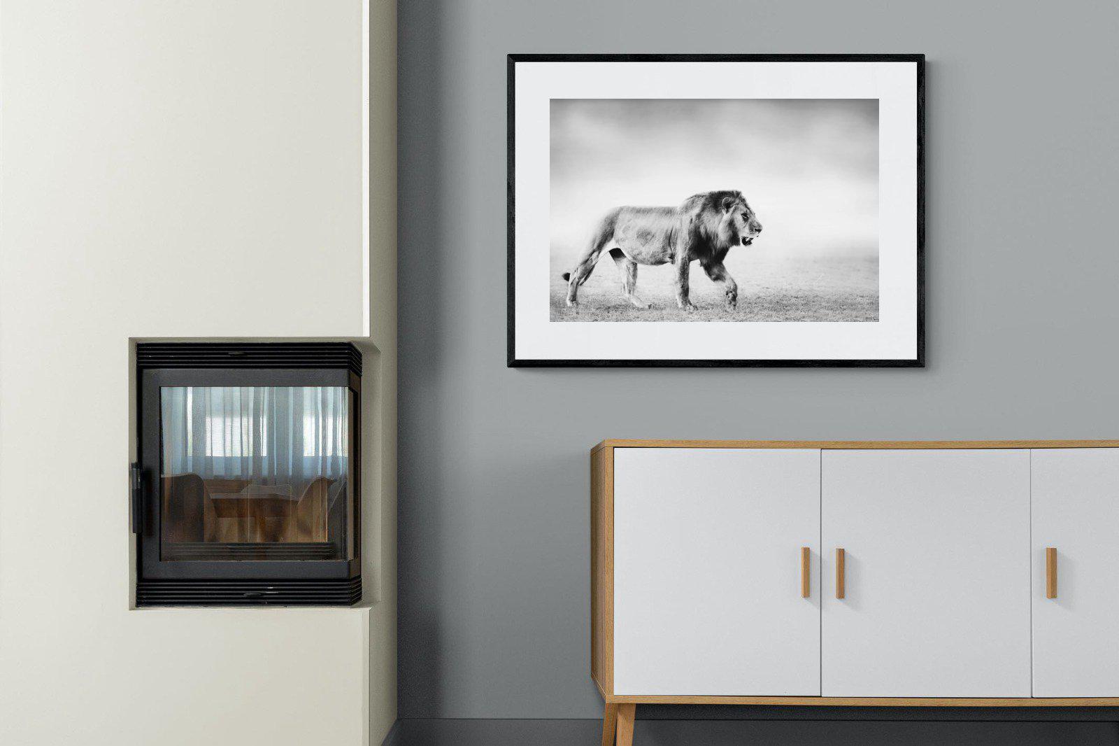 Roaming Lion-Wall_Art-100 x 75cm-Framed Print-Black-Pixalot