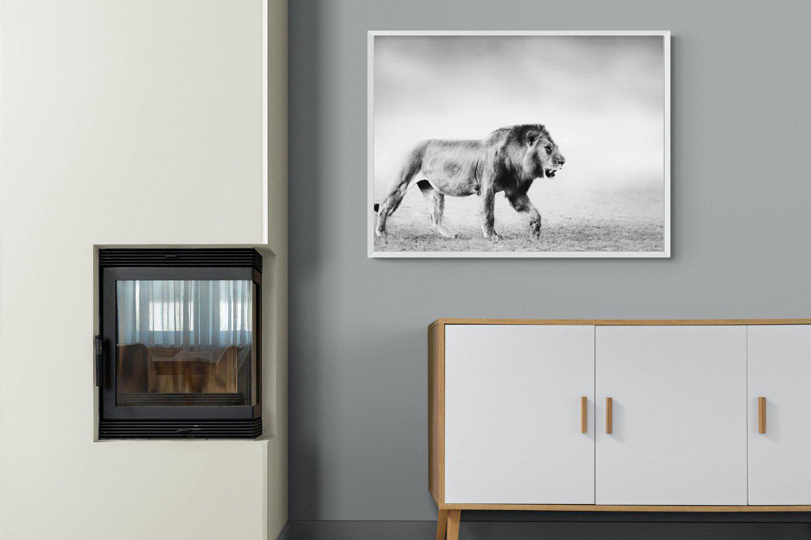 Roaming Lion-Wall_Art-100 x 75cm-Mounted Canvas-White-Pixalot