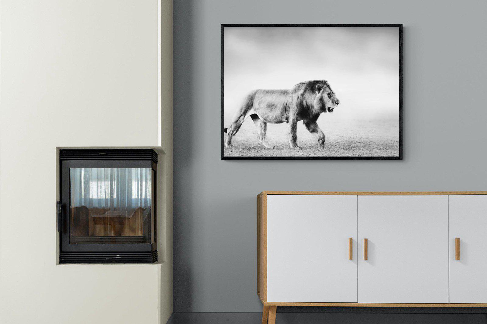 Roaming Lion-Wall_Art-100 x 75cm-Mounted Canvas-Black-Pixalot